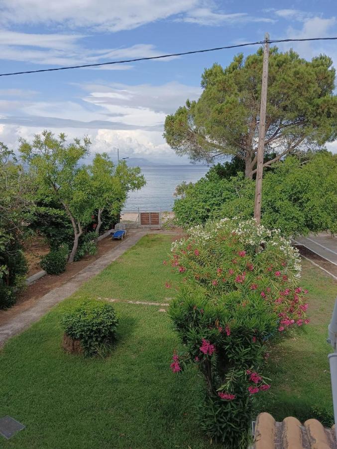 Villa Nea Zoi Moraḯtika Exterior foto
